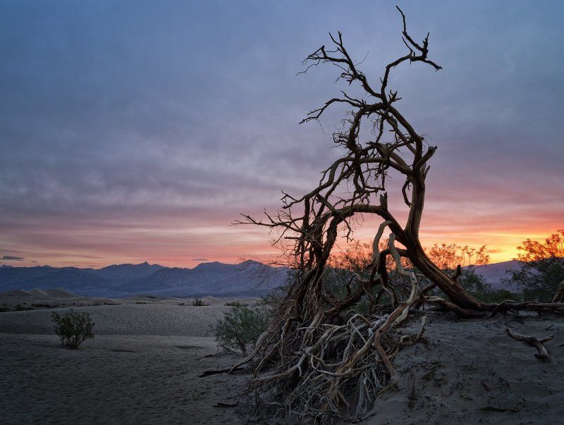 Morning in Death Valley фото превью