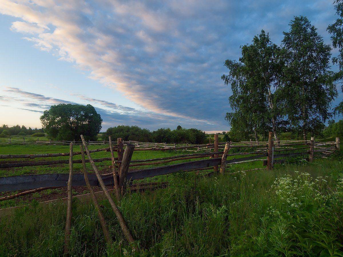, Владимир Перепечаев