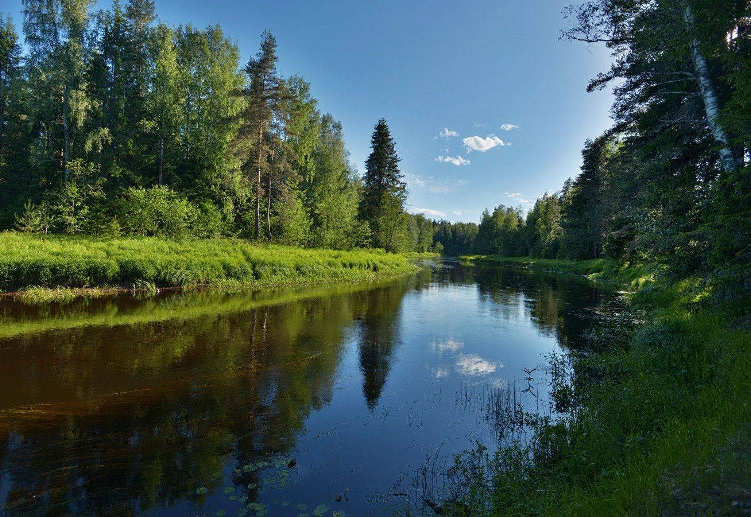 , Сергей Седов