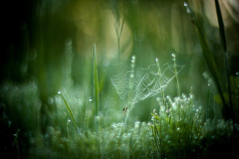 Рождение нового дня... фото превью