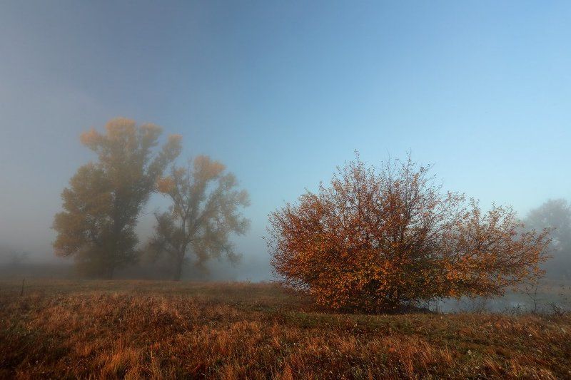 Осенние зарисовки фото превью
