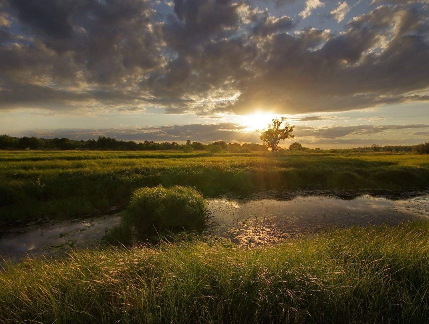 , Сергей Шляга