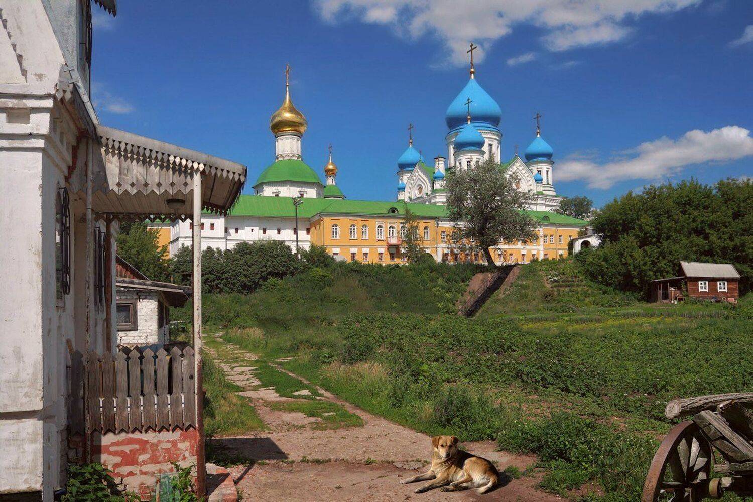 Купола, Лето, Монастырь, Москва, Николо-Перервинский монастырь, Собака, Собор, Телега, Храм, Виктор Климкин