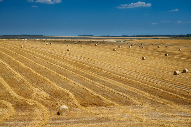 Жатва закончилась фото превью