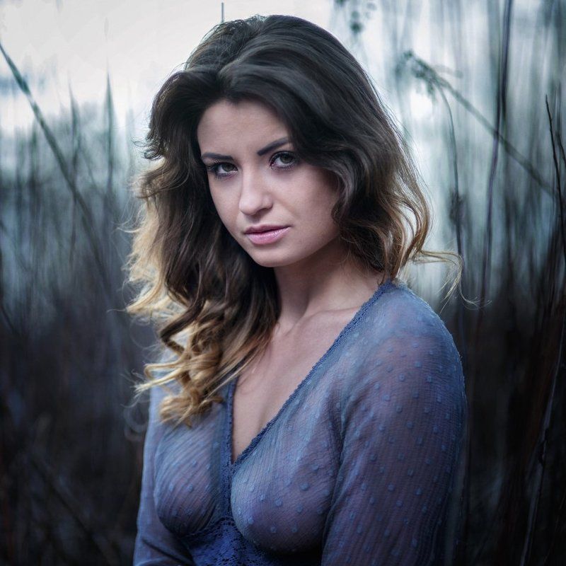 Stern фото превью