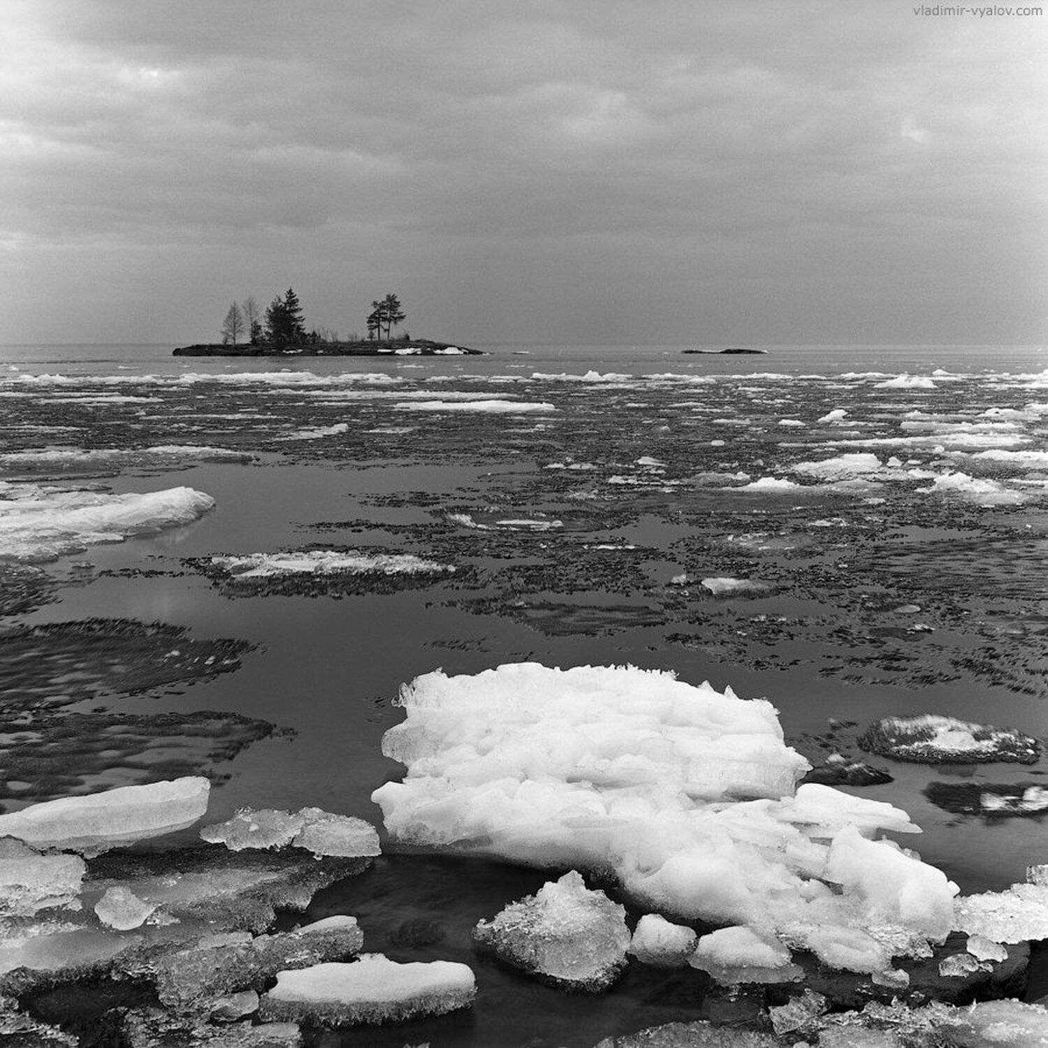 120, 6x6, acros, analog, black and white, bronica, film, fuji, ice, island, karelia, lake, medium format, russian federation, spring, square, travel, water, карелия, озеро, онега, пленка, весна, чб, лед, остров, Владимир Вялов