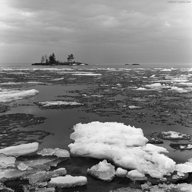 120, 6x6, acros, analog, black and white, bronica, film, fuji, ice, island, karelia, lake, medium format, russian federation, spring, square, travel, water, карелия, озеро, онега, пленка, весна, чб, лед, остров  фото превью