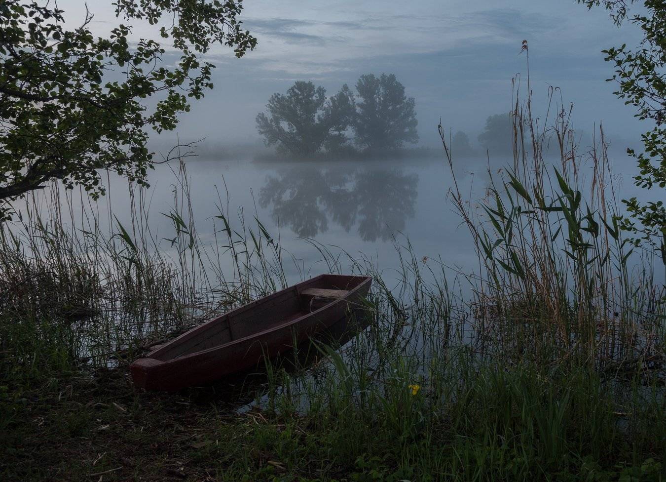 , Александр Бредихин