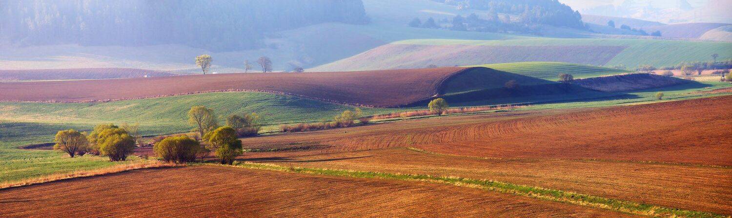 Апрель, Весна, Европа, Словакия, Утро, Вейзе Максим