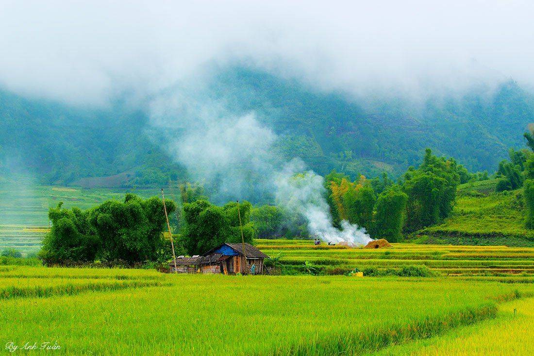 , Tuan Guitare
