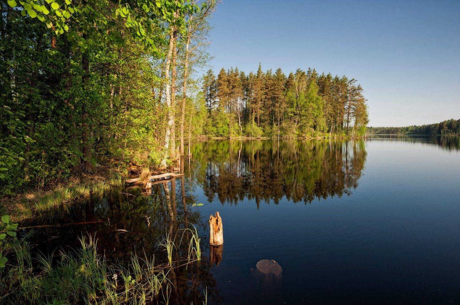 , Евгений Плетнев