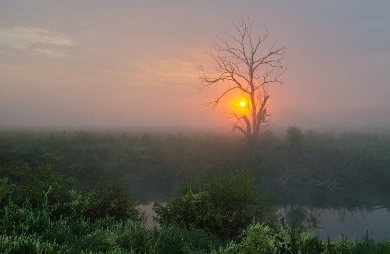 Хранитель Солнца фото превью