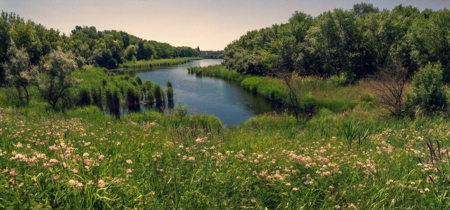 , Игорь Мелекесцев