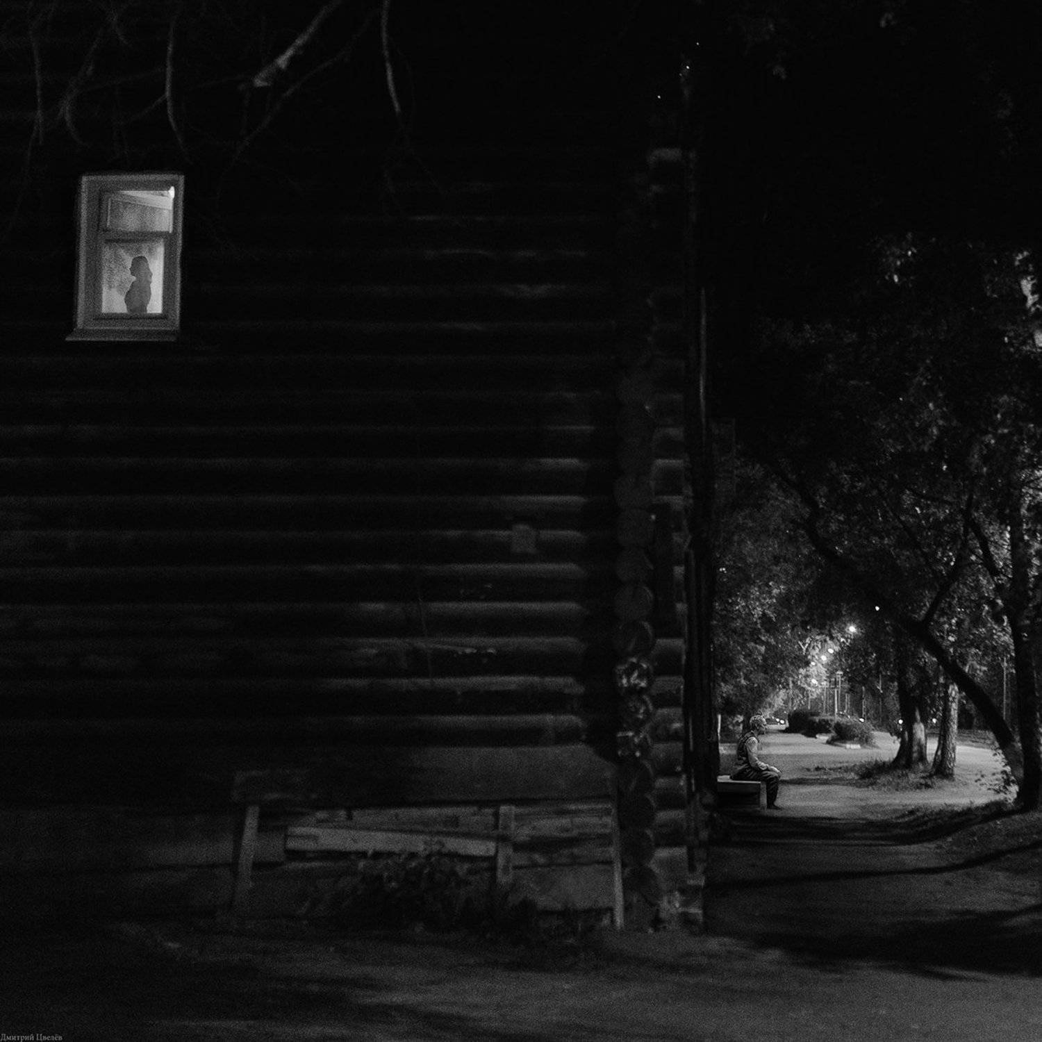 , Цвелёв Дмитрий