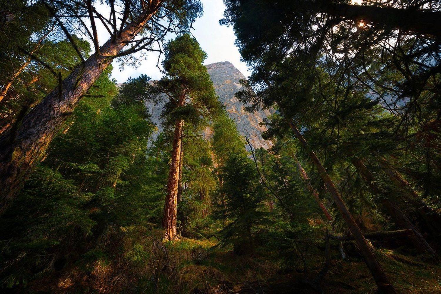 , Месилов Сергей