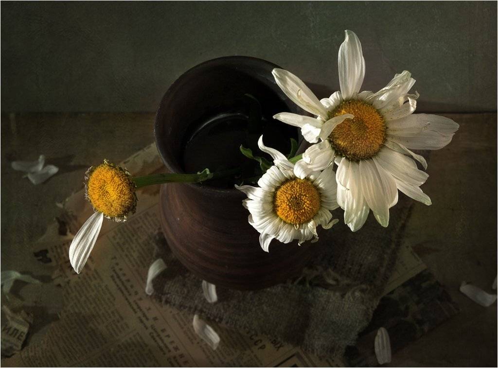 , Лев Сердюков