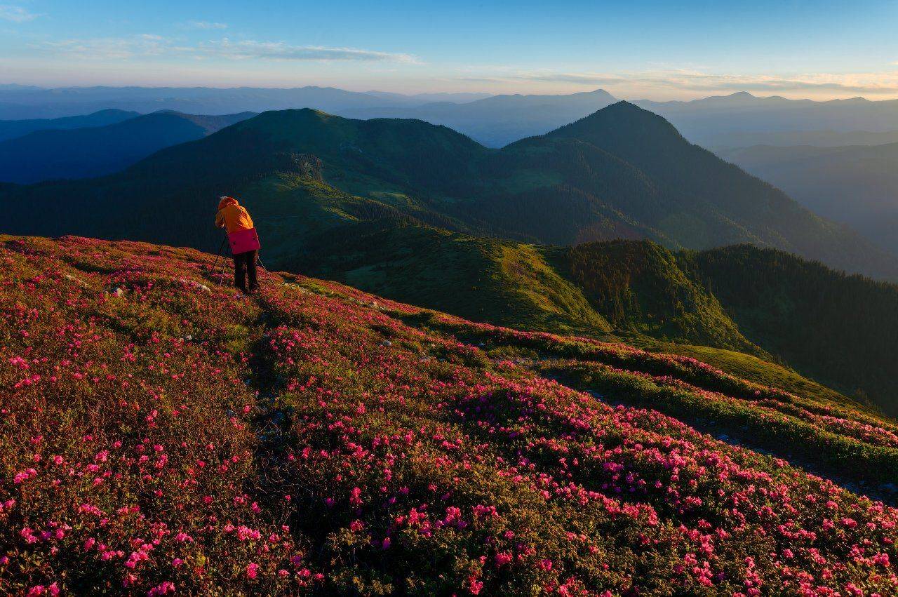 , Ярослав Тюрменко (Jaremi)