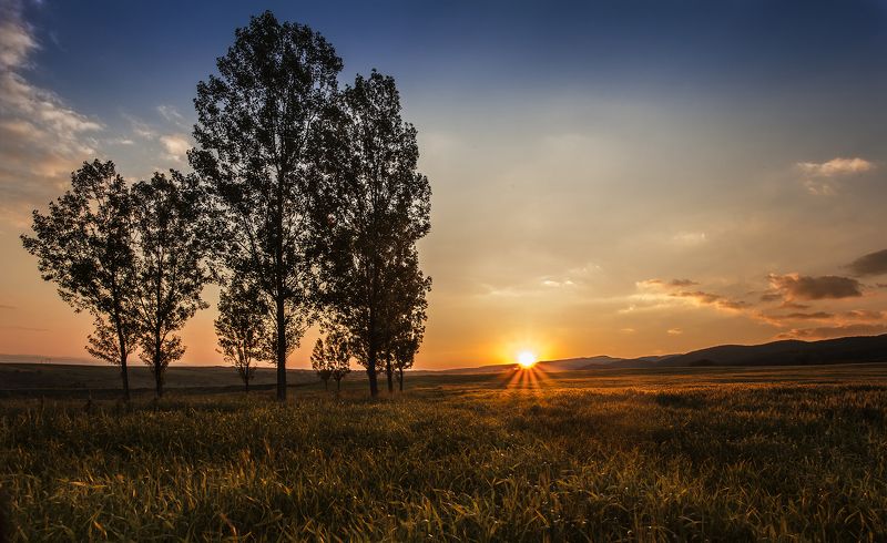 Before nightfall фото превью