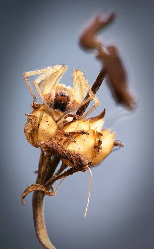 , Александр Журавлёв