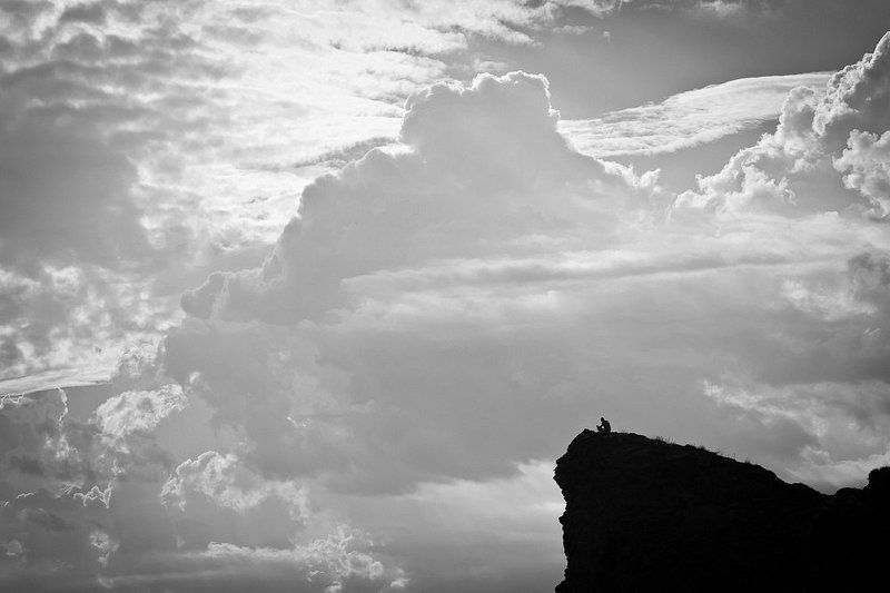 Zen фото превью