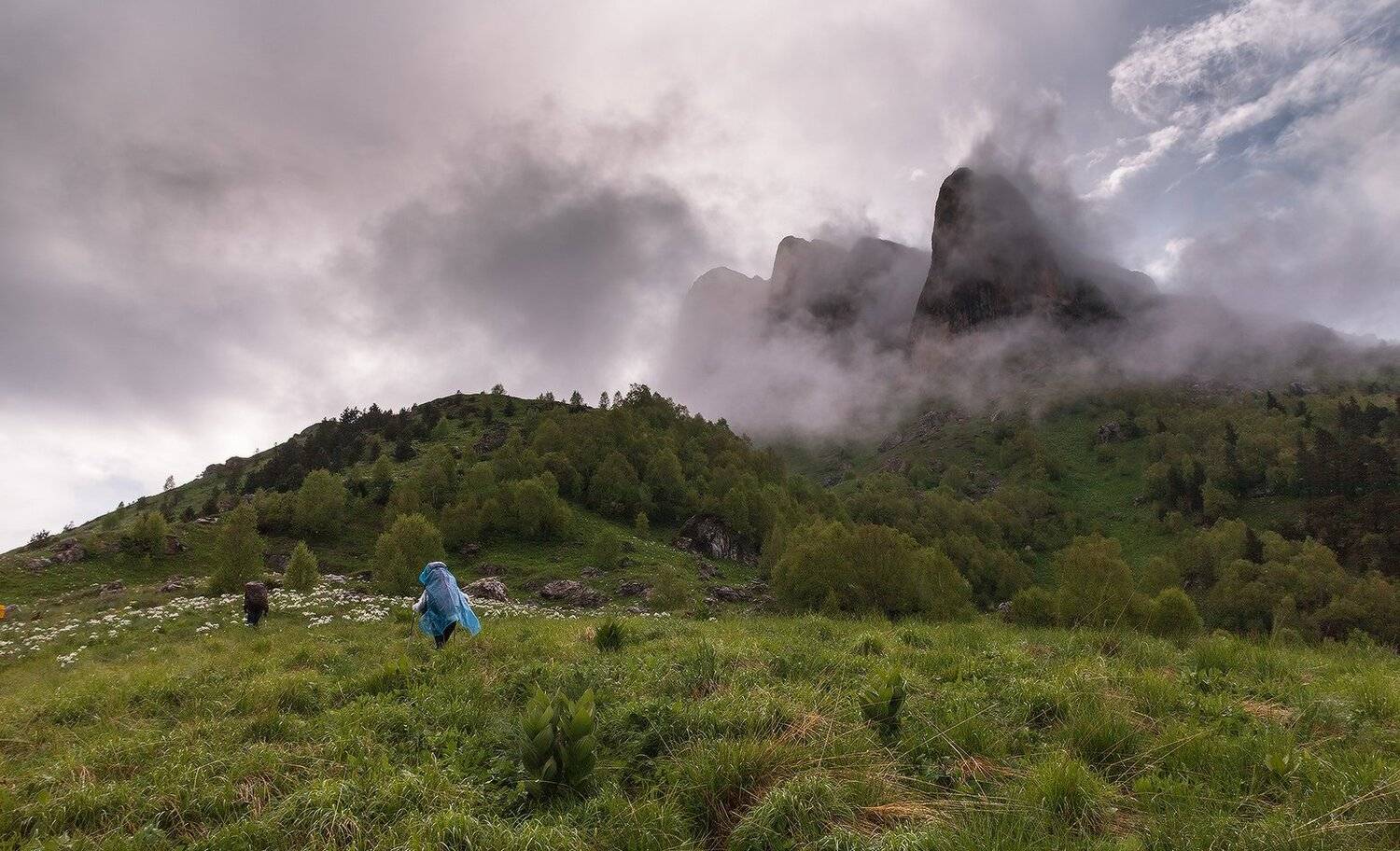 , Николай Мысливцев