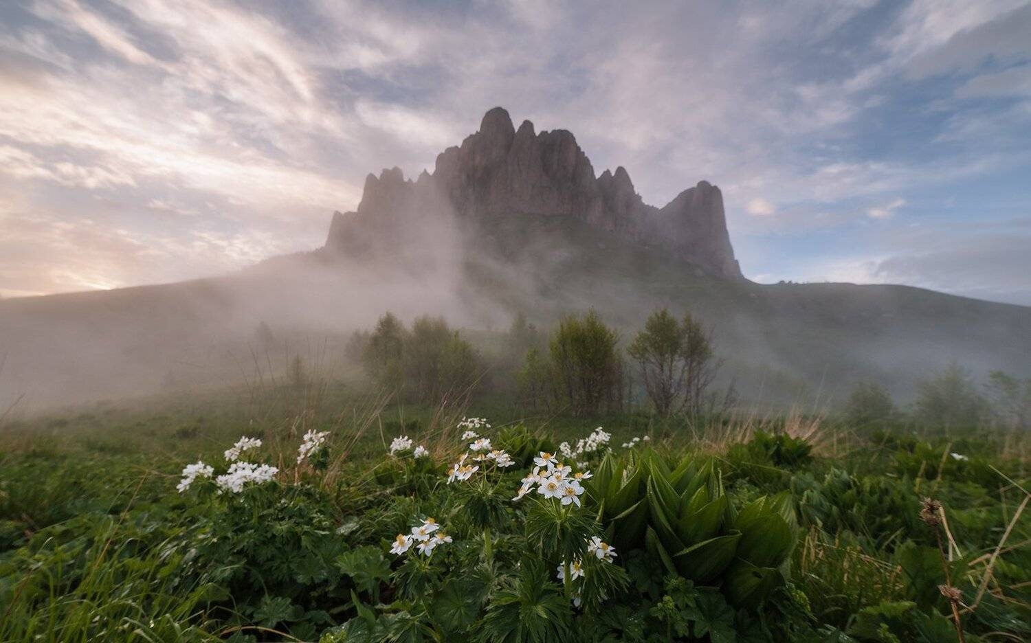 , Николай Мысливцев