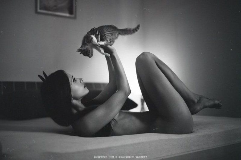 Девушка, кот Киска фото превью