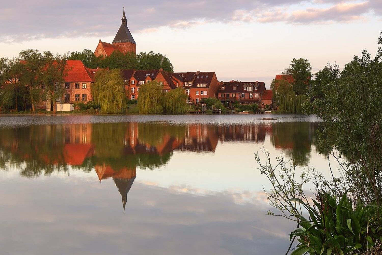 , Игорь Дубровский