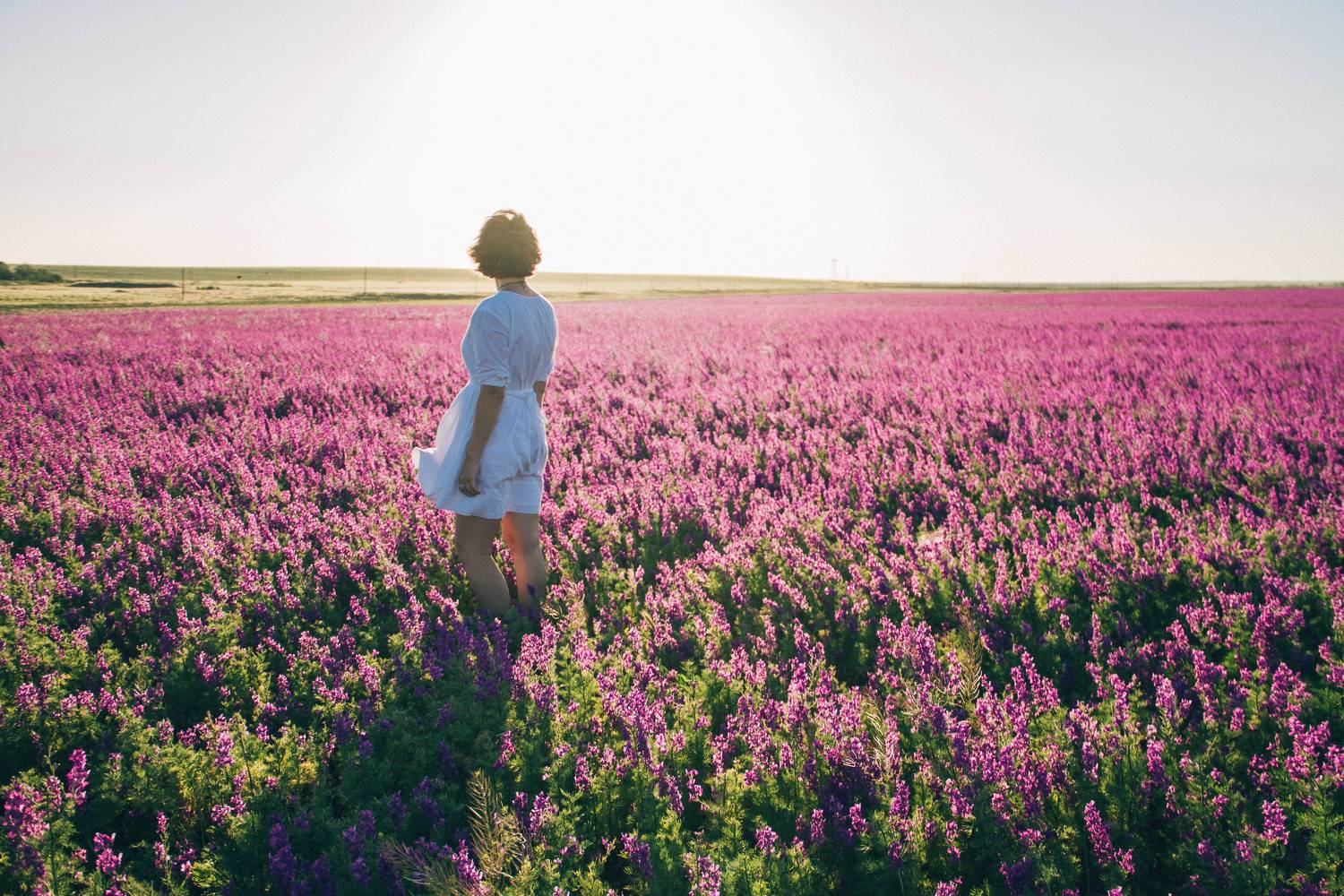 , Алина Шаровская-Константинова