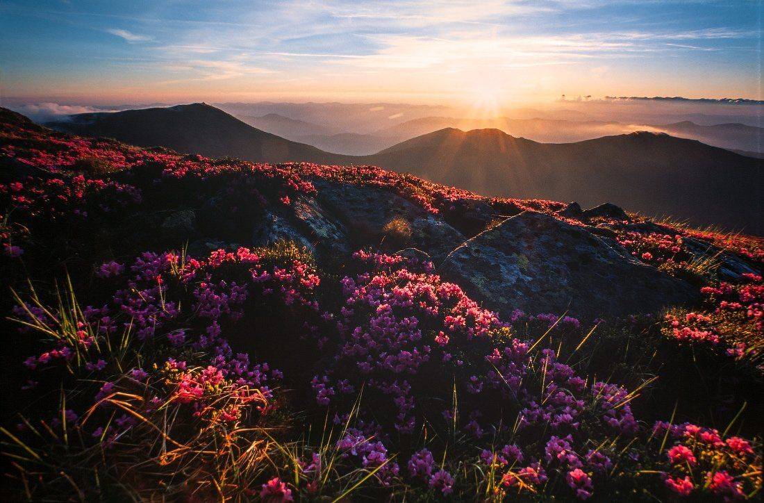 , Ярослав Тюрменко (Jaremi)