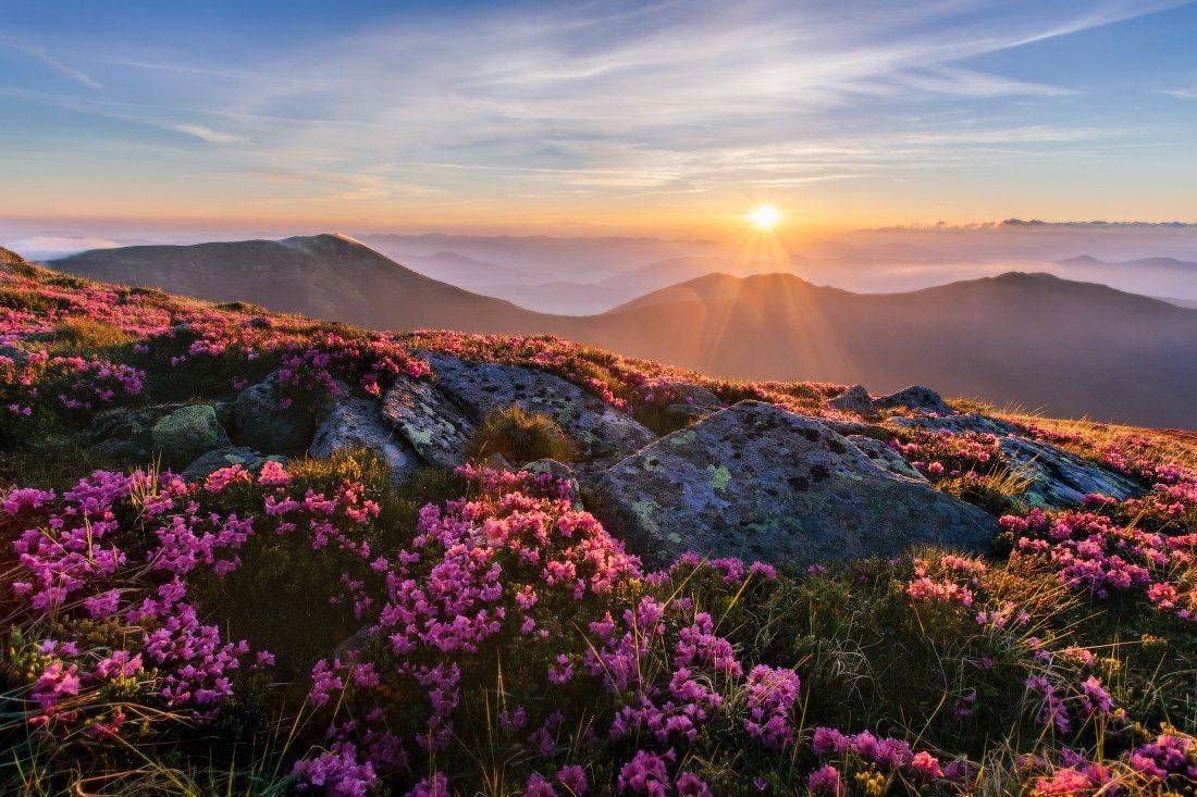 , Ярослав Тюрменко (Jaremi)