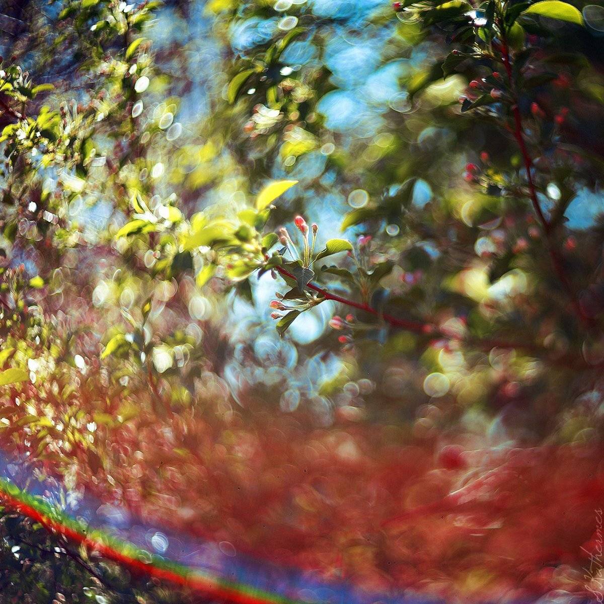 , София Катермес