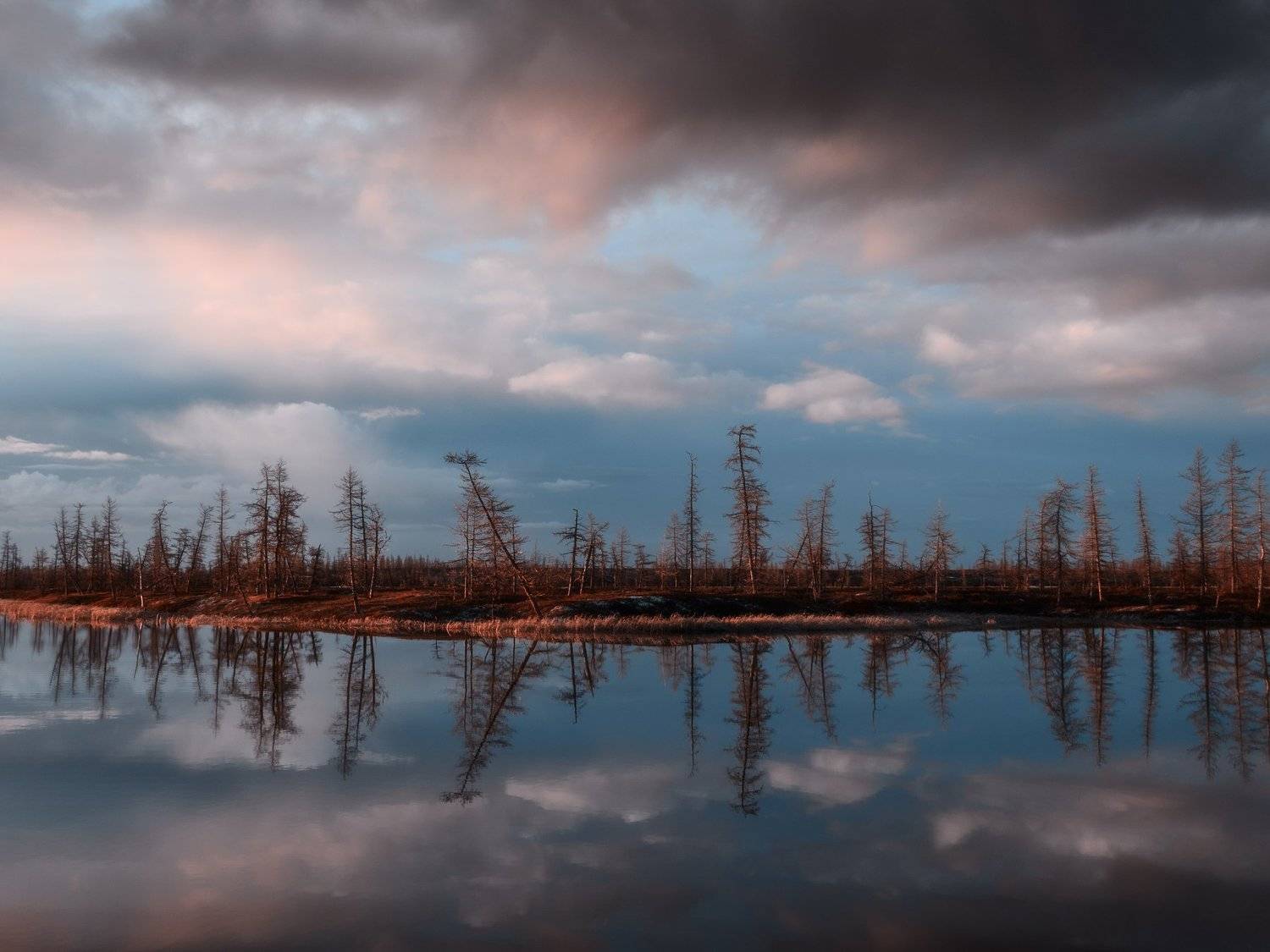 новыйуренгой,  уренгой, ямал, янао, тундра, лесотундра, вечер,  пейзаж, закат,  отражение,  камильнуреев, камиль нуреев, Камиль Нуреев