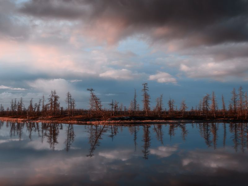 новыйуренгой,  уренгой, ямал, янао, тундра, лесотундра, вечер,  пейзаж, закат,  отражение,  камильнуреев, камиль нуреев \