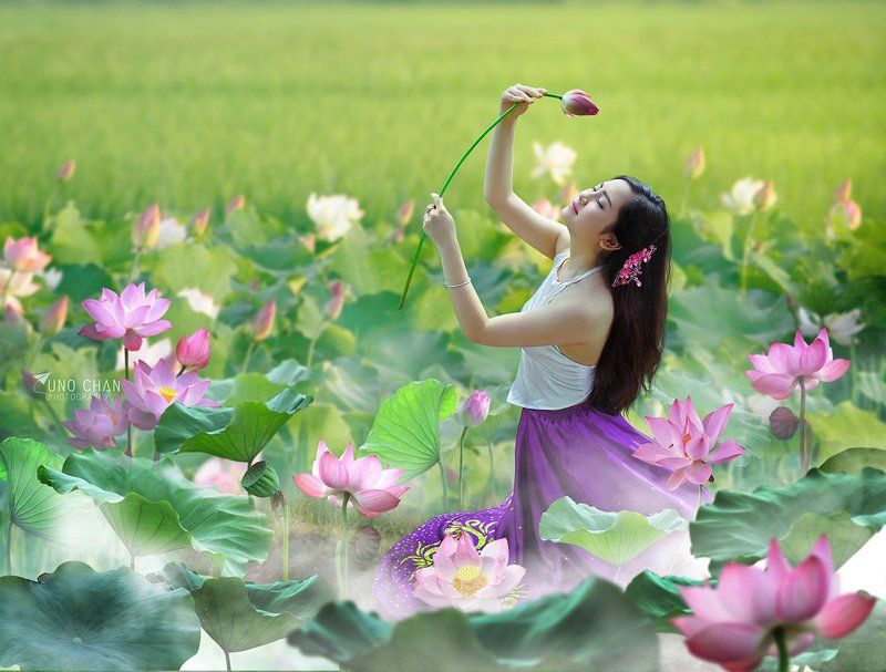 unochan Dream lotus фото превью