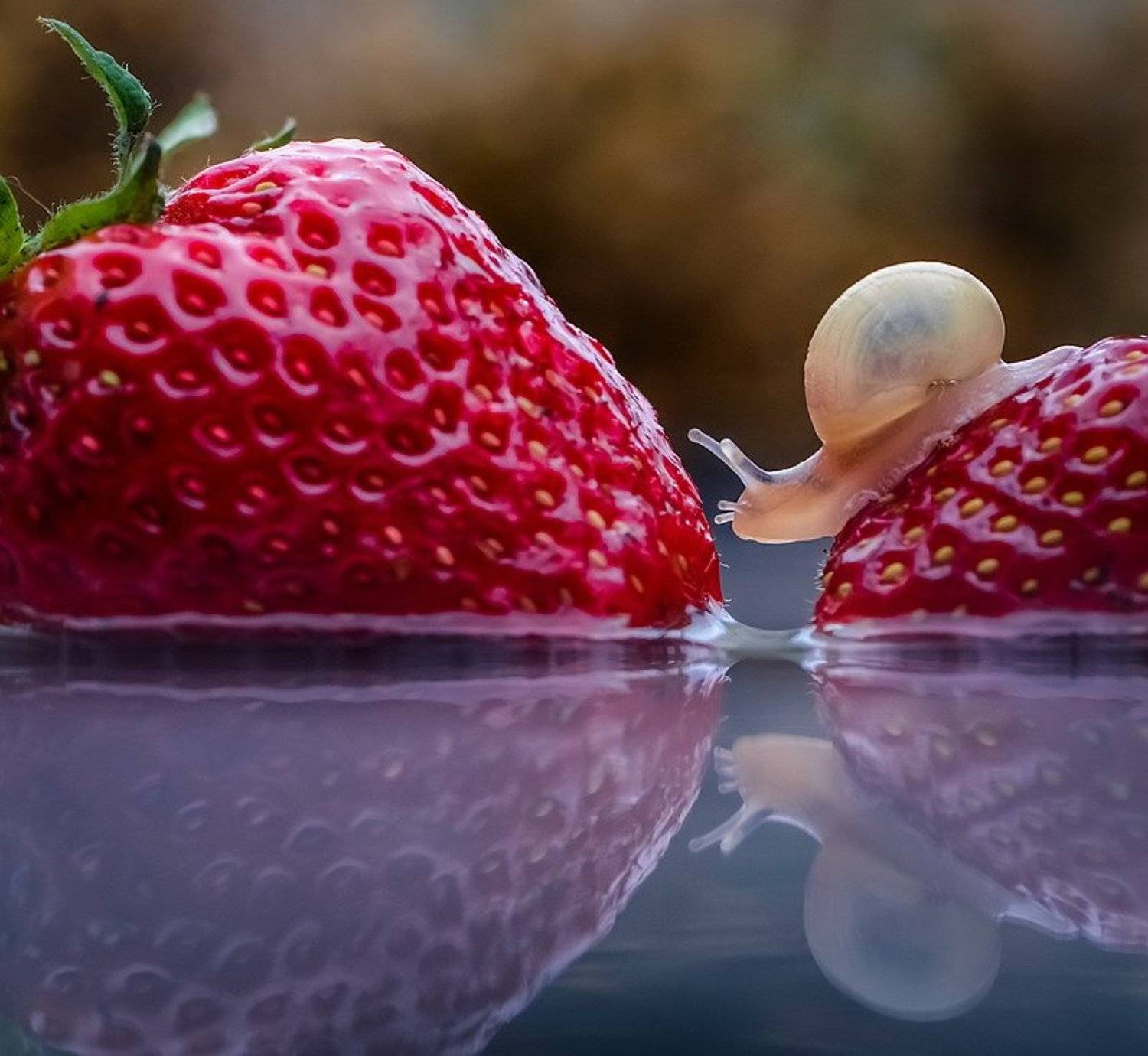 , Вячеслав Мищенко