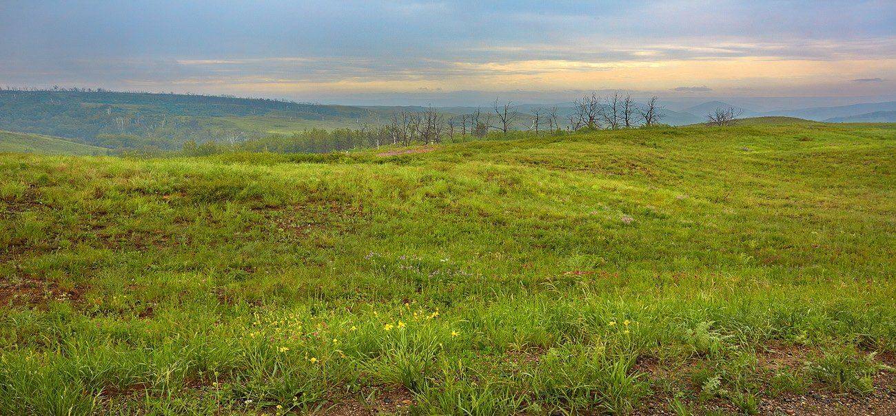 2015г., Качурин алексей, Оренбургская область, Орск, Качурин Алексей
