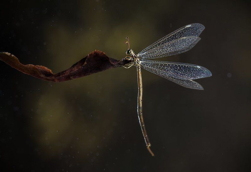 На ночевке я озяб. фото превью