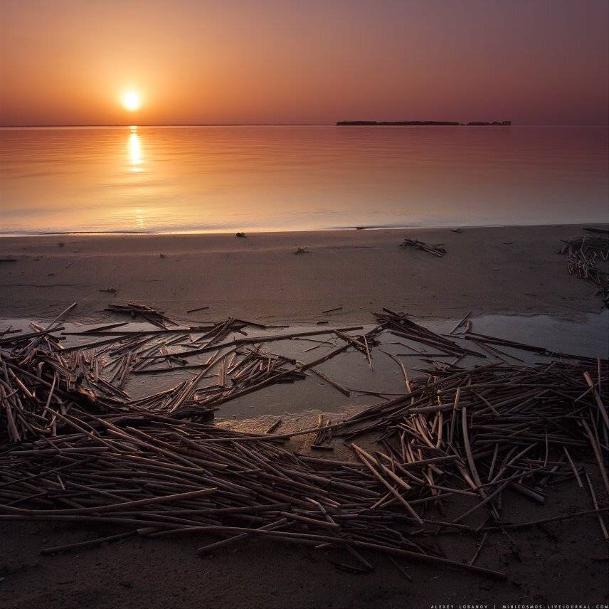 Рыбинка, Рыбинское, Ярославская область, Алексей Лобанов