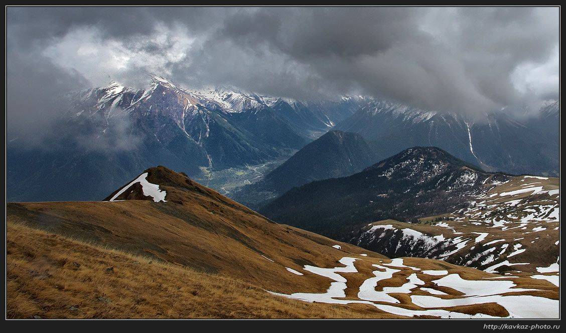 , Николай Стюбко