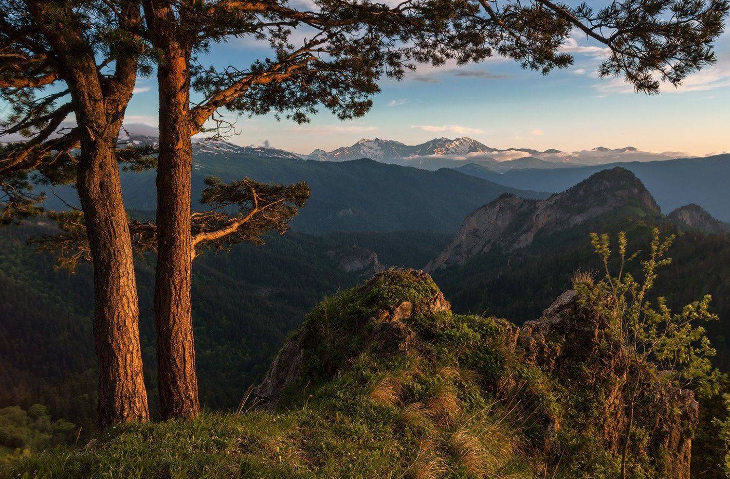 , Николай Мысливцев