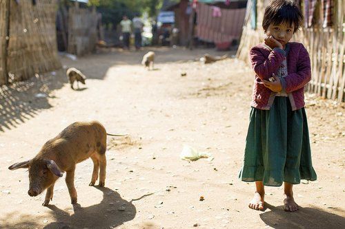 Мьянма, люди, жанровые сцены