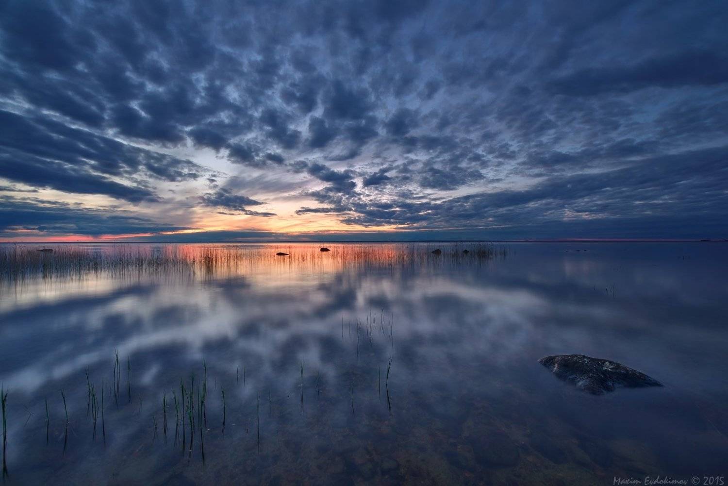 , Максим Евдокимов