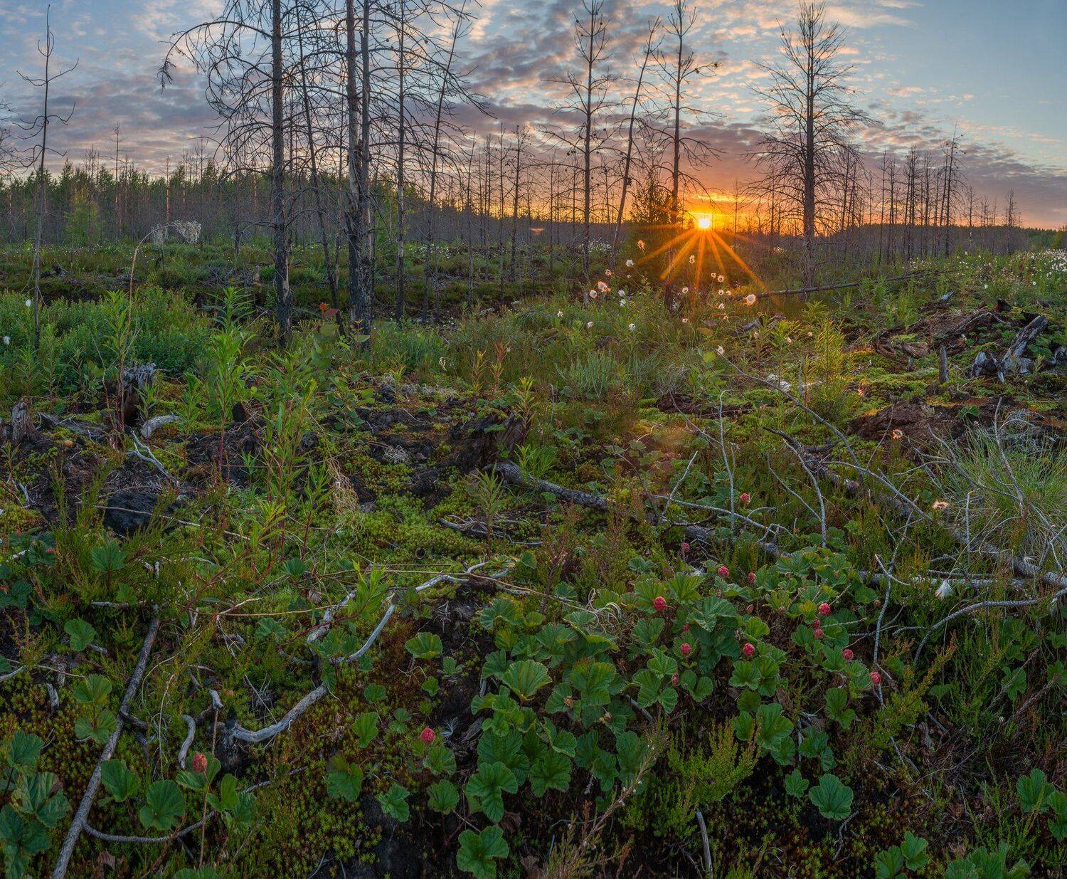 , Олег Авдеев