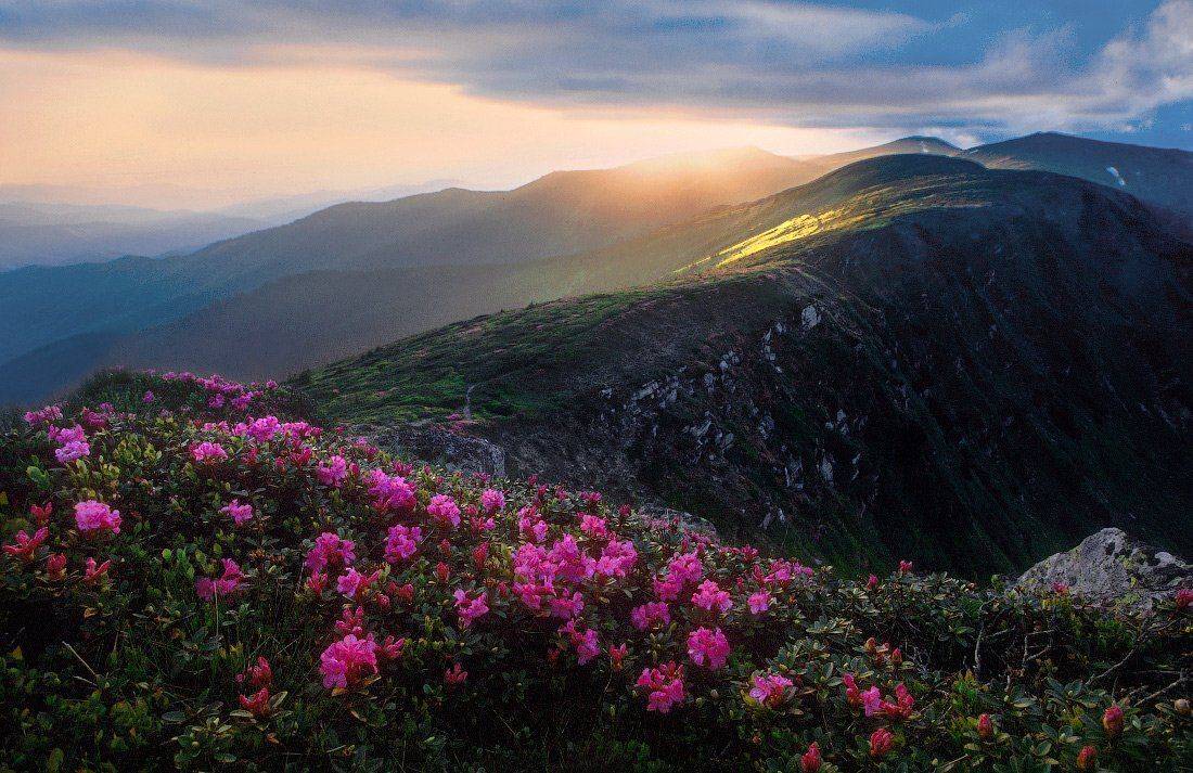 , Ярослав Тюрменко (Jaremi)