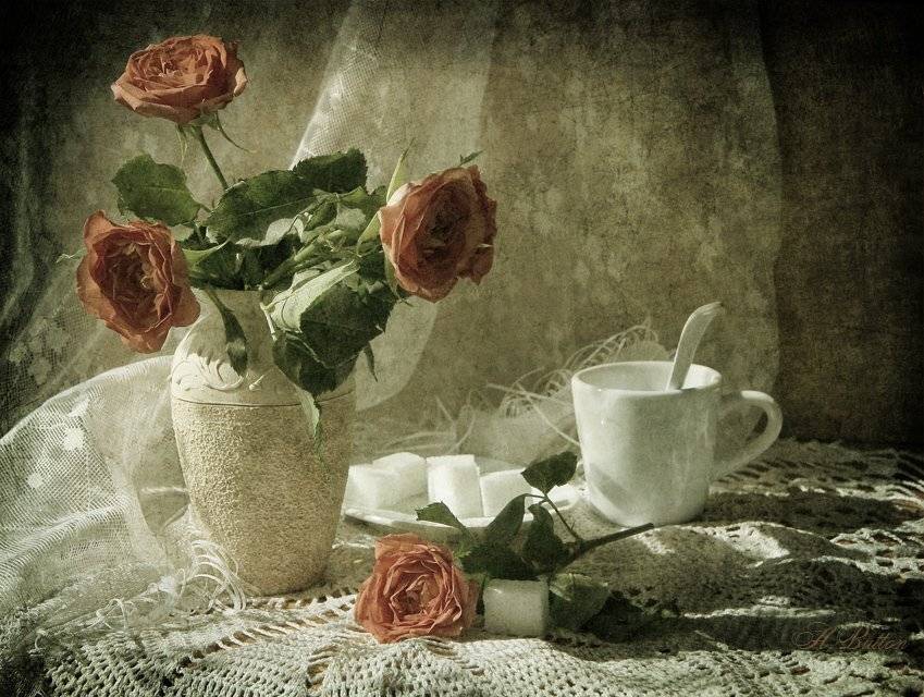 Ваза, Розы, Сахар, Свет, Утро, Цветы, Чашка, button