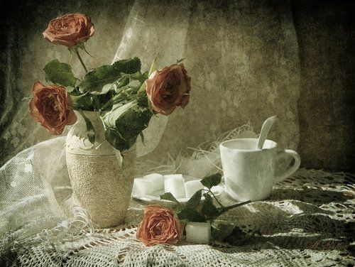 сладкие розы