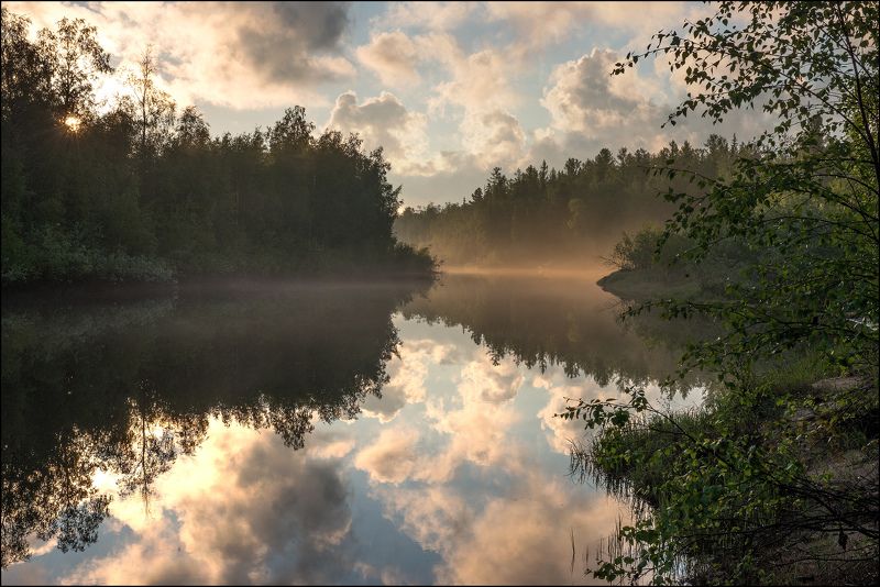 Пейзаж, Туман После дождя фото превью