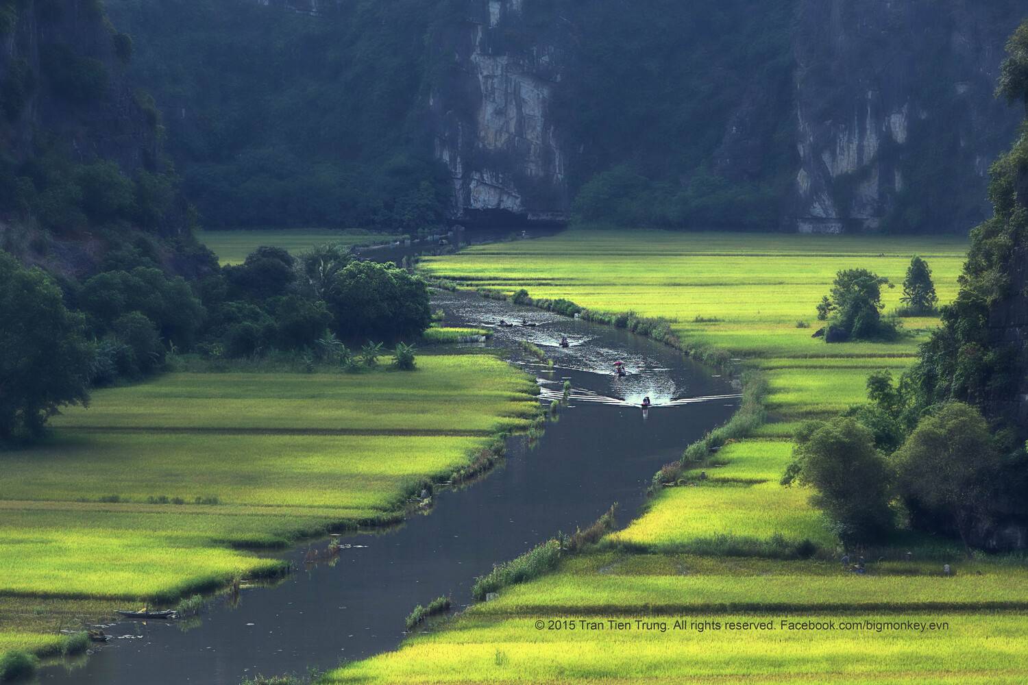 , Trần Tiến Trung