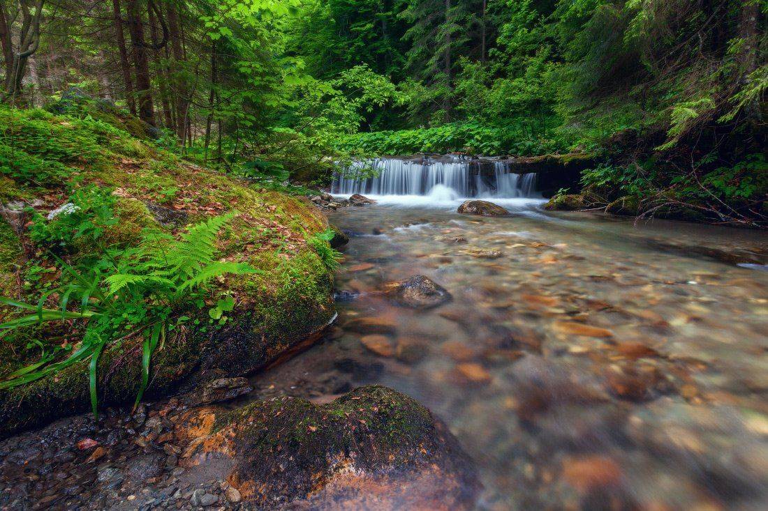 , Ярослав Тюрменко (Jaremi)